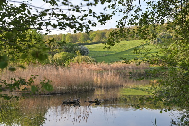 DSC_7735 | Naturfotografie Frauke Gläser - Realisiert mit Pictrs.com