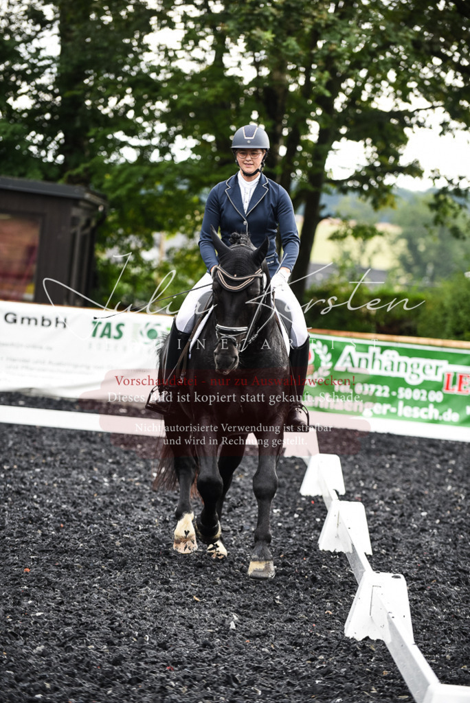 DSC_2864 | Pferde- und Turnierfotografie in Westsachsen. Pferdeportraits, Auftragszeichnungen und intuitive Kunst.