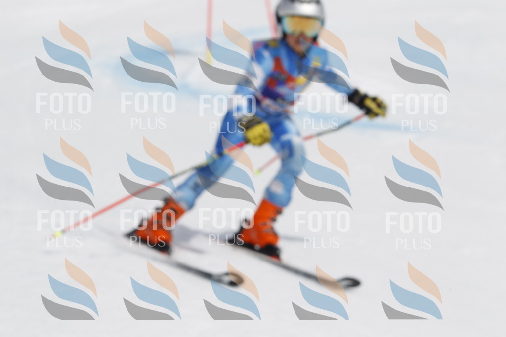 _U3G2511 | holidayphoto