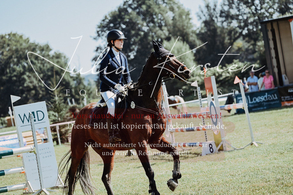DSC_5866 | Pferde- und Turnierfotografie in Westsachsen. Pferdeportraits, Auftragszeichnungen und intuitive Kunst.