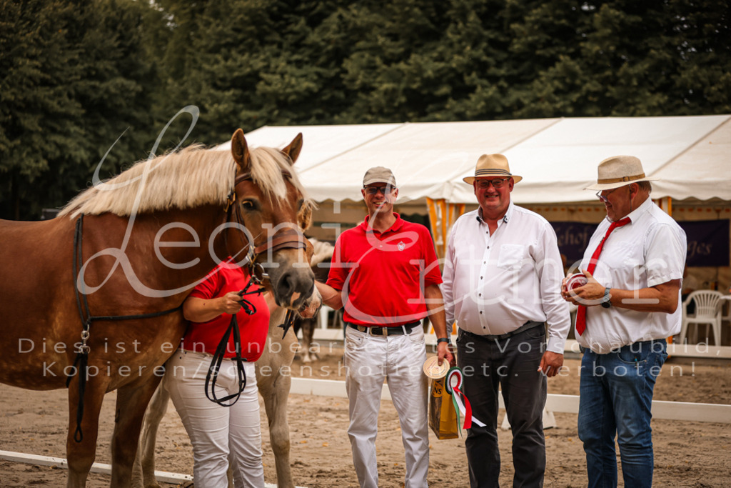 SaHF00117 | Leoni Ertmer Photography - Realisiert mit Pictrs.com