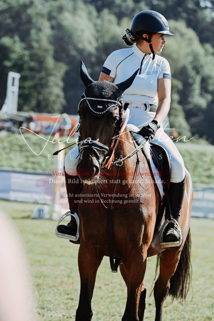 DSC_6213 | Pferde- und Turnierfotografie in Westsachsen. Pferdeportraits, Auftragszeichnungen und intuitive Kunst.