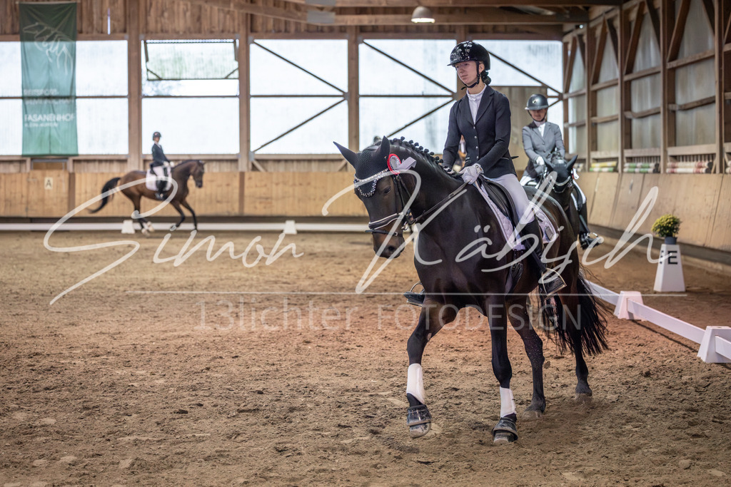 20251011-_3LI2336 | Tierfotografie Pferde, Hunde, Katzen, Haustiere.
Turnierfotografie Reitturniere, Reiten, Springreiten, Dressur in Hanau, dem Main-Kinzig-Kreis und dem Rhein-Main- Gebiet um Frankfurt