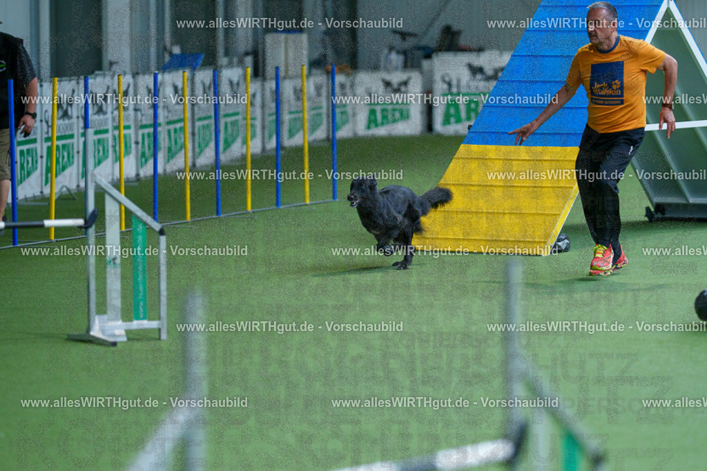 @allesWIRTHgut_Tierfotografie - www.allesWIRTHgut.de - 2604261530-7R505784 | Professionelle Tierfotografie in Mönchengladbach von Daniel Wirth (allesWIRTHgut). Liebevolle & natürliche Bilder von Hunden & Katzen für unvergessliche Erinnerungen.
