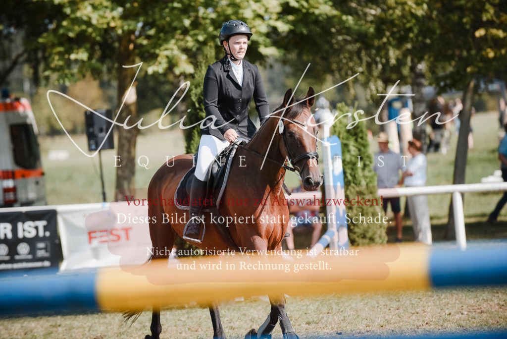 DSC_5253 | Pferde- und Turnierfotografie in Westsachsen. Pferdeportraits, Auftragszeichnungen und intuitive Kunst.