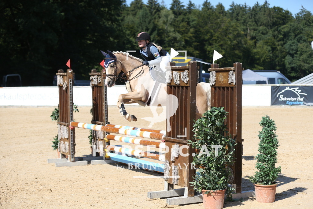 DL2Q8121 | Willkommen bei Brunnmayr - Design & Fotografie – Ihrem Spezialisten für Reitturniere und Pferdeveranstaltungen in Oberösterreich, Salzburg und Bayern! Seit über 17 Jahren sind wir leidenschaftlich dabei.