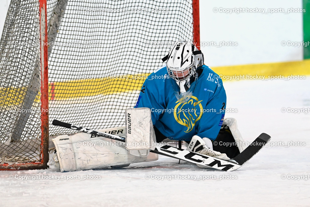 BST_6417 | hockey sports photos, Pressefotos, Sportfotos, hockey247, win 2day icehockeyleague, Handball Austria, Floorball Austria, ÖVV, Kärntner Eishockeyverband, KEHV, KFV, Kärntner Fussballverband, Österreichischer Volleyballverband, Alps Hockey League, ÖFB, 