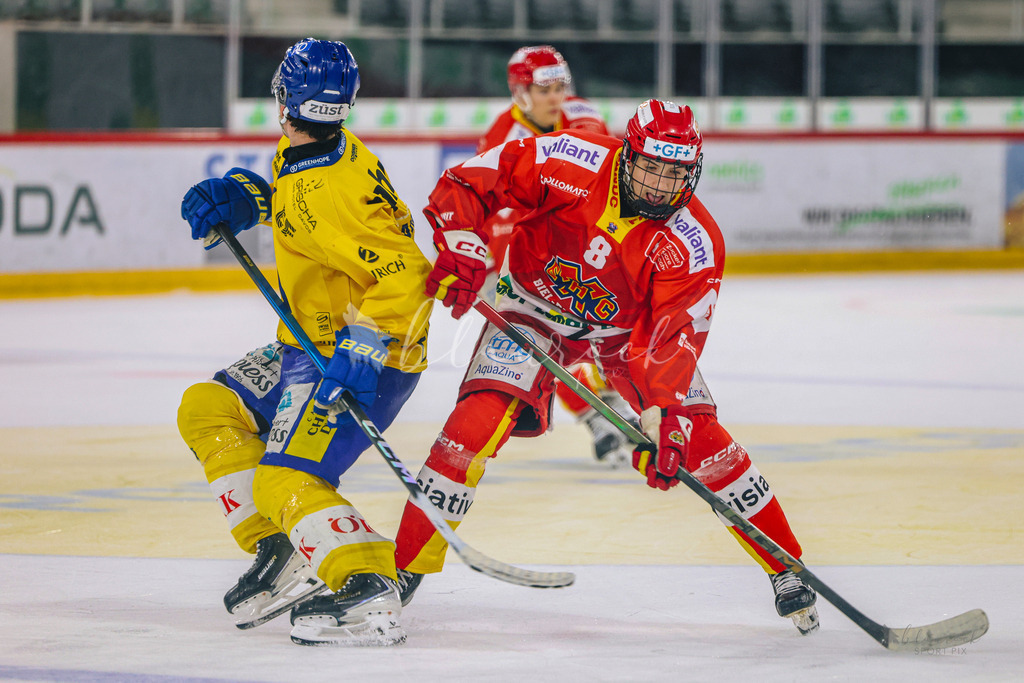 U21_EHCB vs HCD_wb20260308-0525 | Sportbilder, Sportfotograf, Hochzeits- und Eventfotografin, Flugshows, Portraits und Tiershooting, Aviation, Downhill, Nationalleague, Swissleague, International