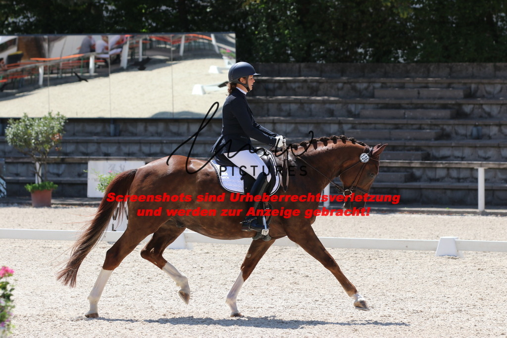 IMG_4928 | lmwpictures - Realisiert mit Pictrs.com