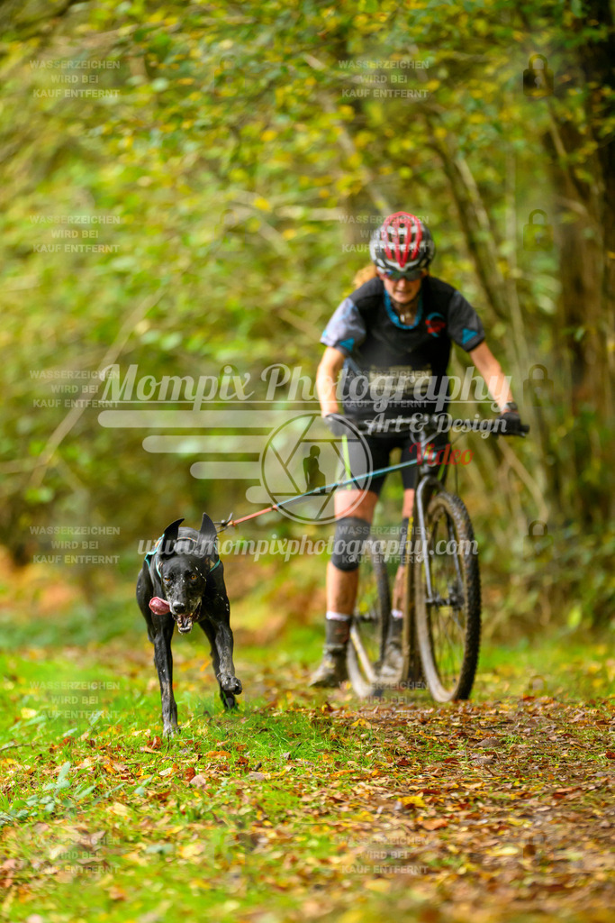 MompixPhotography_20TSB_E1_Doppel-35 | PayLife