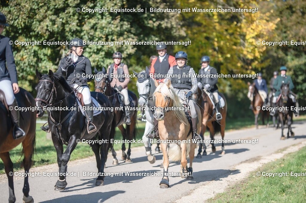 20251011_Jagd-Marbach_0603 | Foto: Thomas Hartig