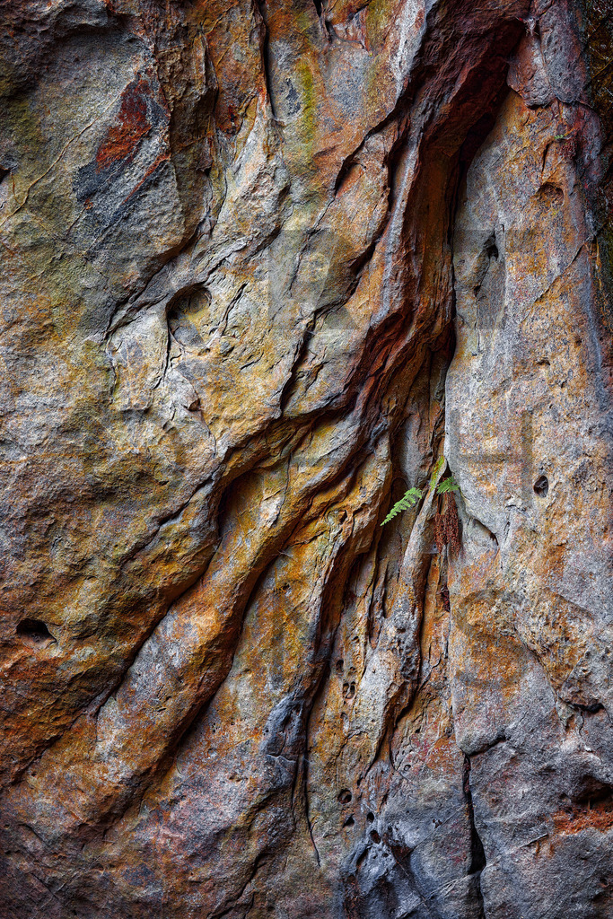 Ein Hans Fineart Original | Entdecke die Kunst von Hans Fineart - Fotografien für dein Zuhause. Verwandle deine Wände mit einzigartigen Kunstwerken und bringe die Schönheit der Welt in dein Leben. Bestelle jetzt und schaffe einen Ort der Inspiration und Eleganz.