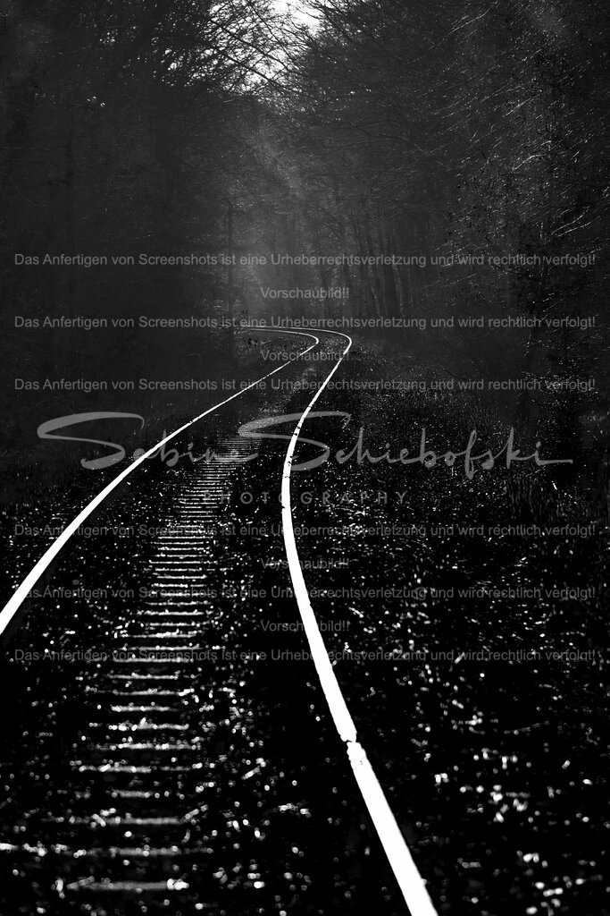 Wohin? | Wohin geht unser Weg? Was passiert hinter der nächsten Kurve in unserem Leben? Die Schienen symbolisieren unseren (Lebens) Weg - Realisiert mit Pictrs.com