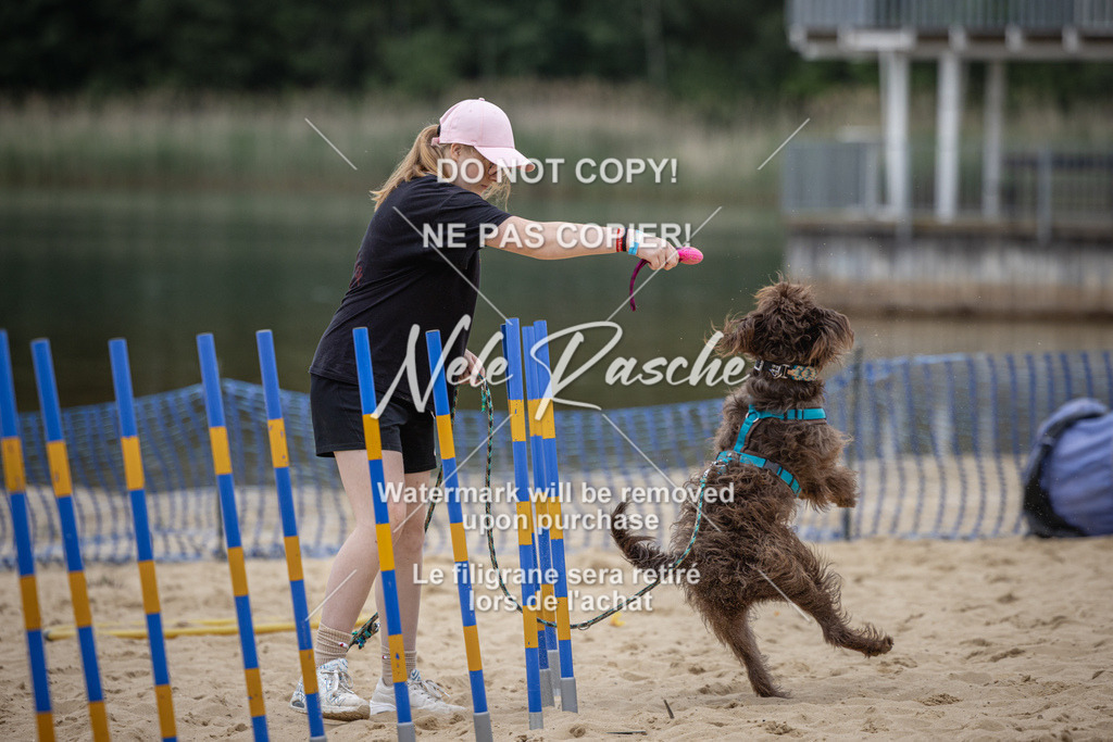 nelerasche_BuHu2026_So10-11_278 | nelerasche