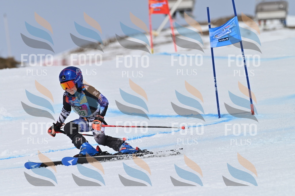 BGV_3719 | holidayphoto