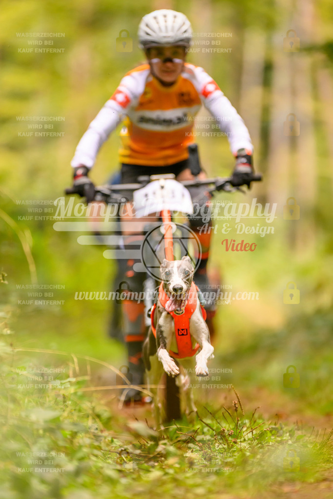 MompixPhotography_Yens2025_B2-126 | PayLife