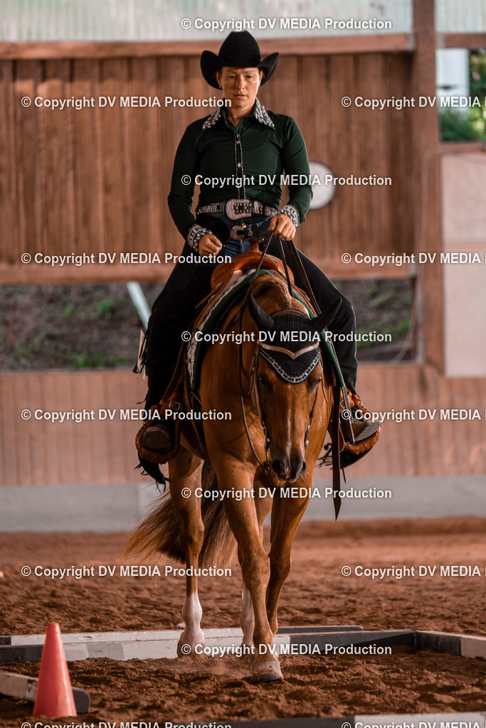 NE300169 | dv-media-shop - Realisiert mit Pictrs.com