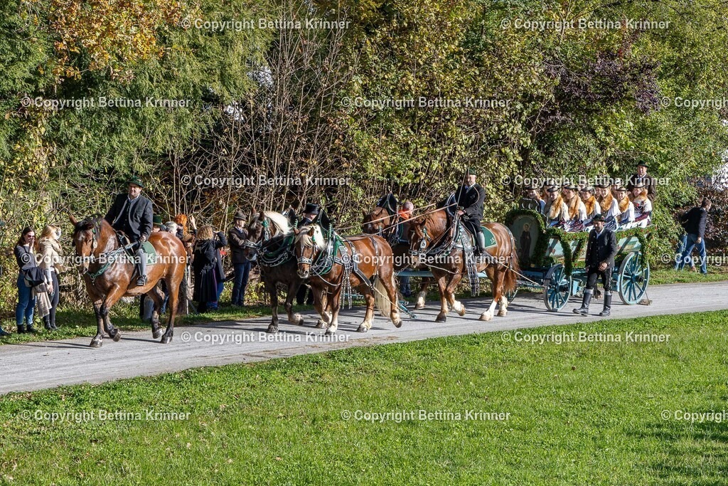LBT24-683 | foto-bettina-krinner - Realisiert mit Pictrs.com