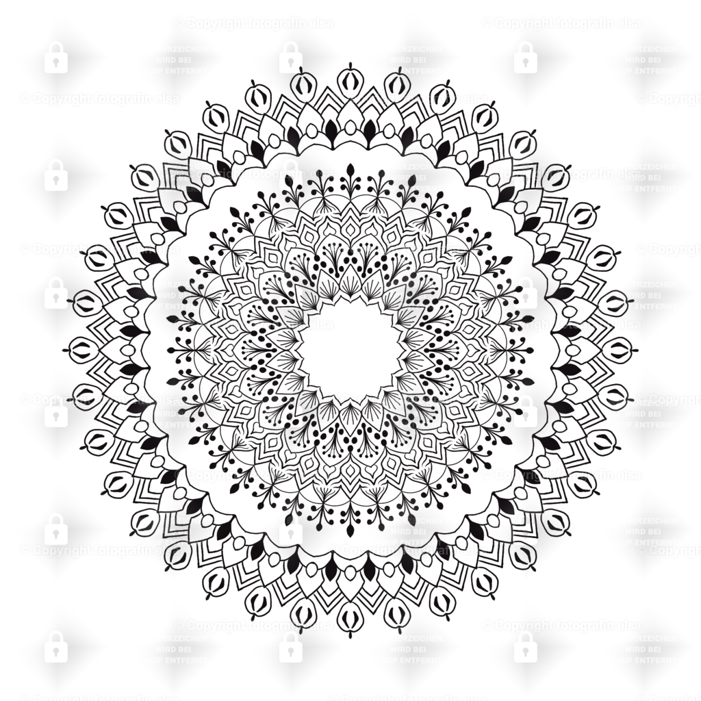 63Seite | fotografinelsa