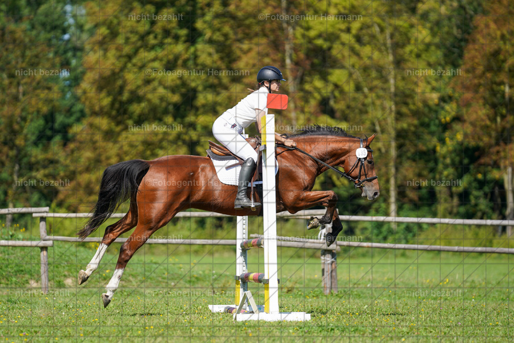 20230917-FAH09453 | Landsberg am Lech, 2023, Kaufbeuren, Kempten, Allgäu, Turnierfotografen Bayern, Fotoagentur Herrmann, Turnierbilder, Reitsport Fotos, Pferdefotograf, Augsburg, Bad Tölz, Dachau, Karlsfeld, Memmingen, Buchloe, Schwabmünchen