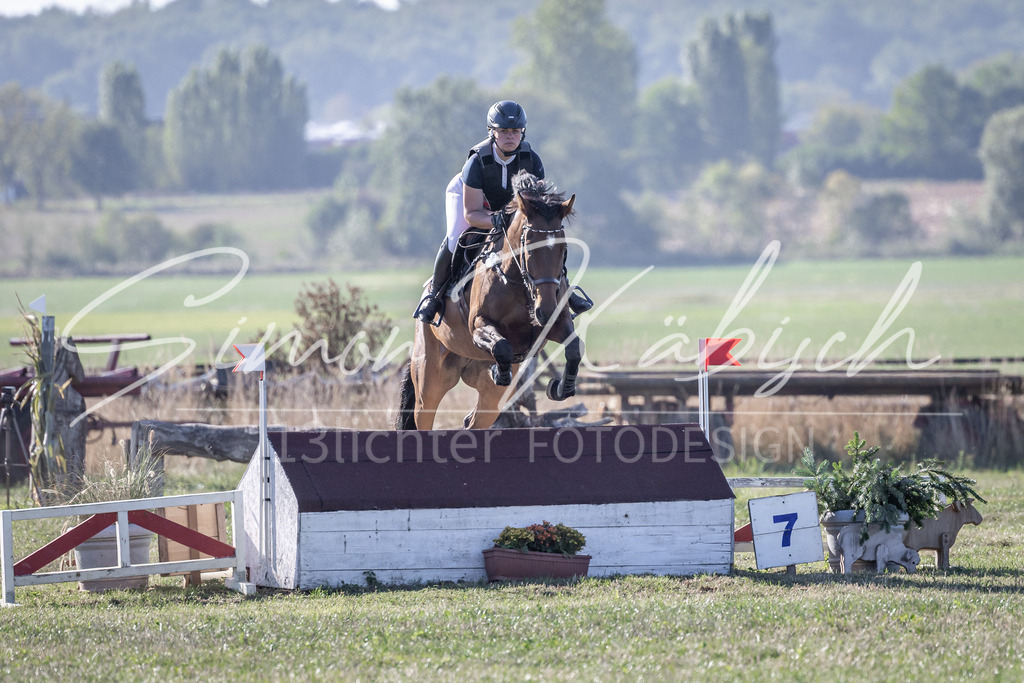 20260906-_3LI1662 | Tierfotografie Pferde, Hunde, Katzen, Haustiere.
Turnierfotografie Reitturniere, Reiten, Springreiten, Dressur in Hanau, dem Main-Kinzig-Kreis und dem Rhein-Main- Gebiet um Frankfurt