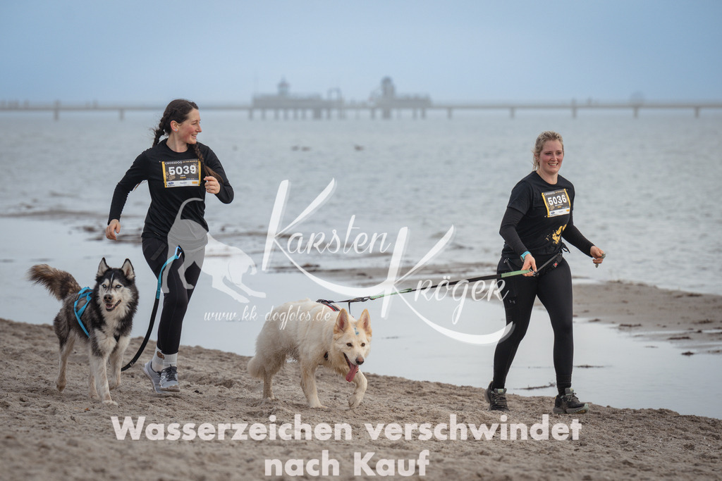 1215_ZZ95752 | kk-dogfotos