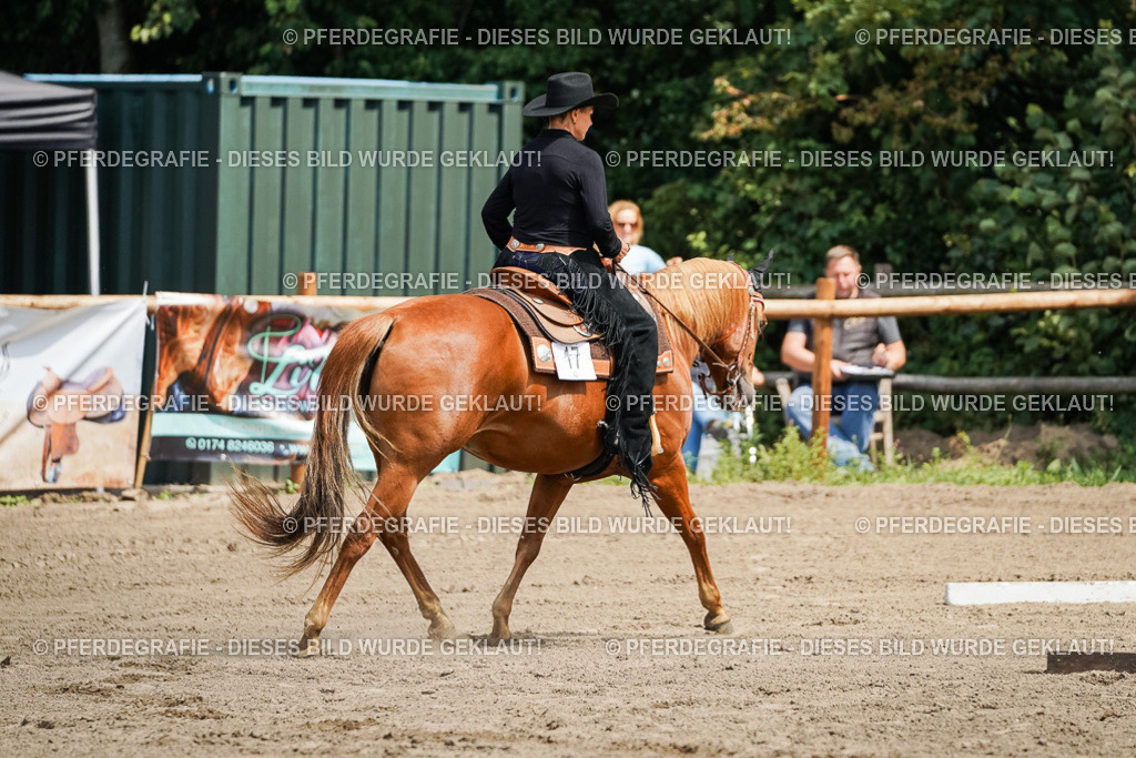 DSC06021 | Pferdegrafie