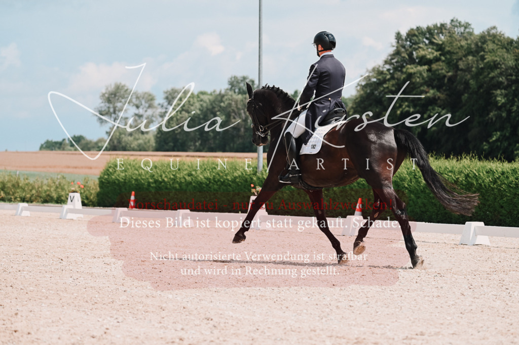 DSC_3984 | Pferde- und Turnierfotografie in Westsachsen. Pferdeportraits, Auftragszeichnungen und intuitive Kunst.