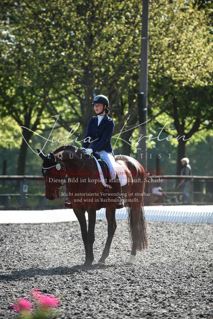 DSC_8767 | Pferde- und Turnierfotografie in Westsachsen. Pferdeportraits, Auftragszeichnungen und intuitive Kunst.