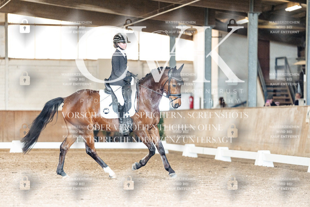 CK901997 | Turnierfotografie Pferdefotografie Trier Rheinland-Pfalz Pferdesport Reitsport Tierfotografie Sportfotografie Pferdevideo Pferdevideografie Equestrianvideography equestrianphotography  - Realisiert mit Pictrs.com
