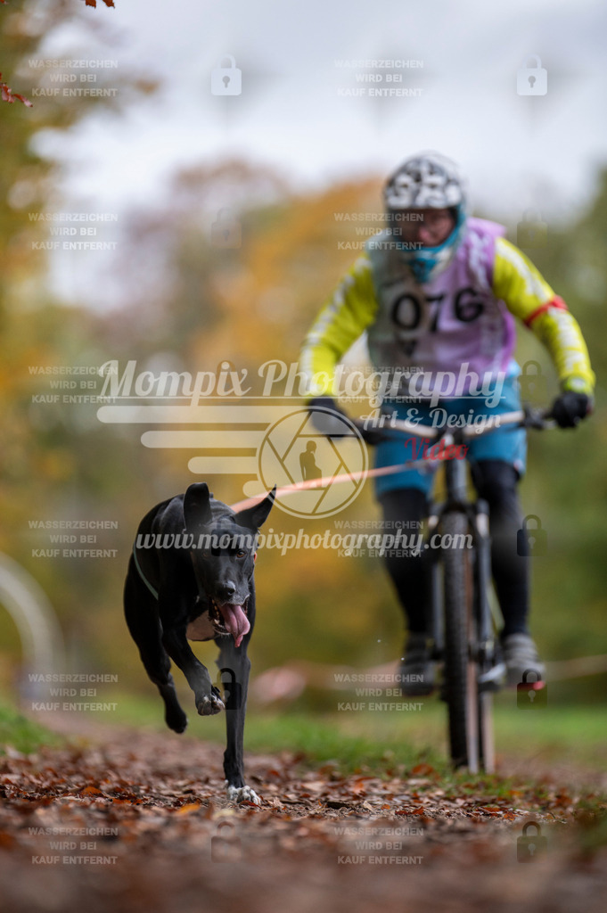 DBT_DAKM_SA_4_11_2023_Bike-73 | PayLife