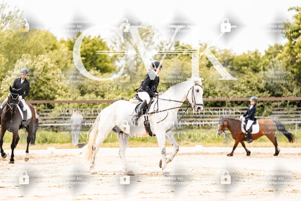 CK902694 | Turnierfotografie Pferdefotografie Trier Rheinland-Pfalz Pferdesport Reitsport Tierfotografie Sportfotografie Pferdevideo Pferdevideografie Equestrianvideography equestrianphotography  - Realisiert mit Pictrs.com
