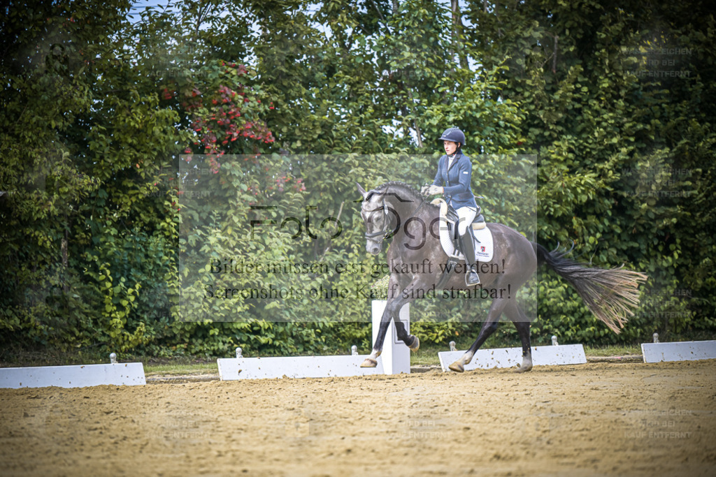 DOS_6324 | Entdecke hochwertige Reitturnierfotos von Foto Oger. Professionell, emotional und authentisch – jetzt Lieblingsmomente im Shop bestellen. - Realisiert mit Pictrs.com
