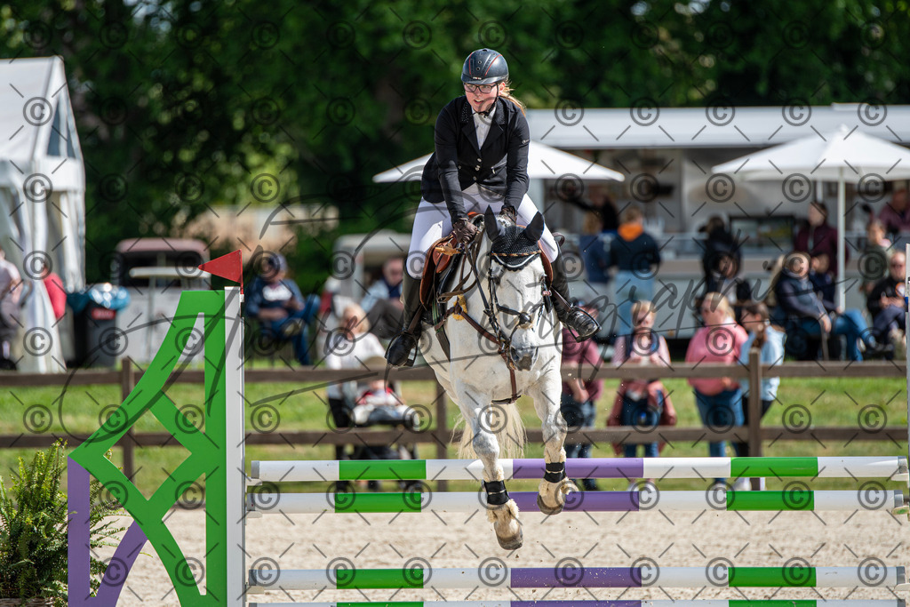 KPT_4982 | andre_photographic