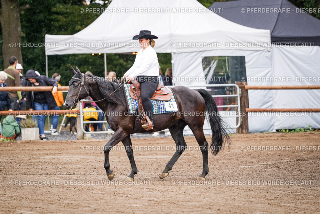 DSC05452 | Pferdegrafie