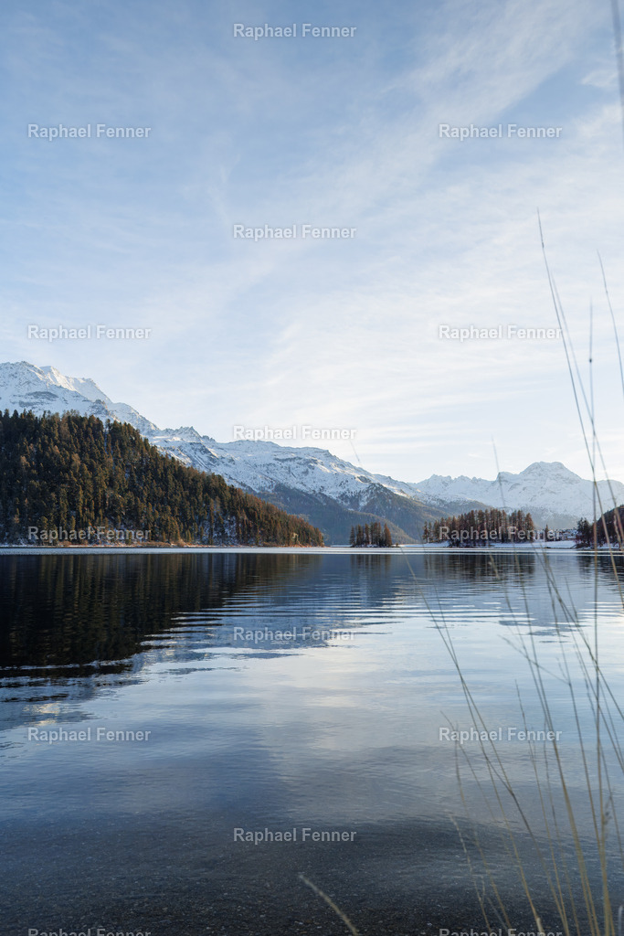 Stille Spiegelung – Winter am Lej da Champfèr | Ein windstiller Wintertag am Lej da Champfèr, mit Blick in Richtung Silvaplana. Die Berge und Bäume spiegeln sich perfekt auf der glatten Wasseroberfläche, während das weiche Licht die Landschaft in kühle, klare Töne taucht. Diese Aufnahme bringt die Ruhe und Schönheit des Engadiner Winters direkt an deine Wand – als hochwertiger Fine Art Print auf Leinwand, Poster oder Alu-Dibond.