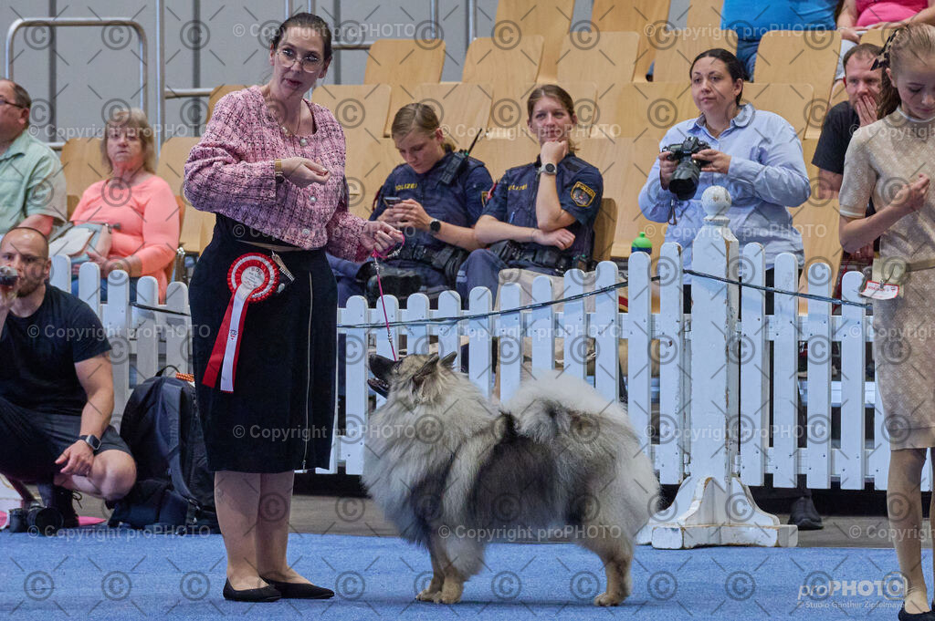 202406_ÖKV-IHA-Tulln24_DSC_5017 | proPHOTO - Realisiert mit Pictrs.com