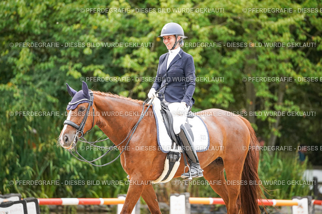 DSC09262 | Pferdegrafie