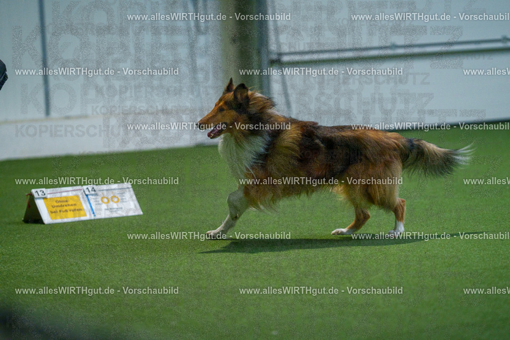 7R502137 | Professionelle Tierfotografie in Mönchengladbach von Daniel Wirth (allesWIRTHgut). Liebevolle & natürliche Bilder von Hunden & Katzen für unvergessliche Erinnerungen.