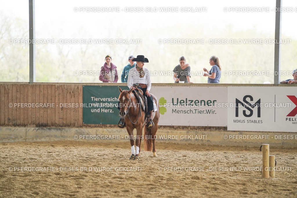 DSC06160 | Pferdegrafie