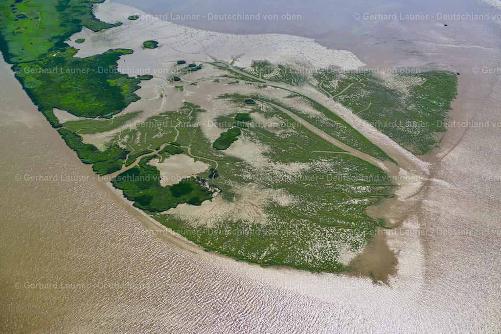 3621998 | Nordspitze Bihorstersand