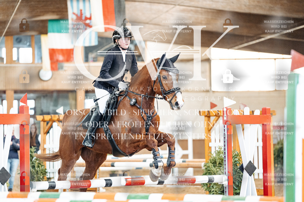 CK905052 | Turnierfotografie Pferdefotografie Trier Rheinland-Pfalz Pferdesport Reitsport Tierfotografie Sportfotografie Pferdevideo Pferdevideografie Equestrianvideography equestrianphotography  - Realized with Pictrs.com