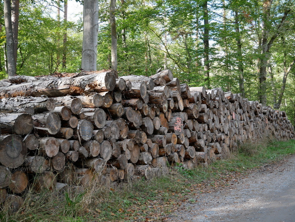 P1000484 | Stockfotos, Fotos mit Miniaturfiguren und kreativen Ideen. Dabei auch vieles aus der Metropolregion Rhein-Neckar. 
