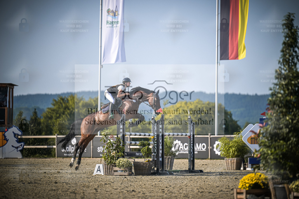 DOS_1075 | Entdecke hochwertige Reitturnierfotos von Foto Oger. Professionell, emotional und authentisch – jetzt Lieblingsmomente im Shop bestellen. - Realisiert mit Pictrs.com