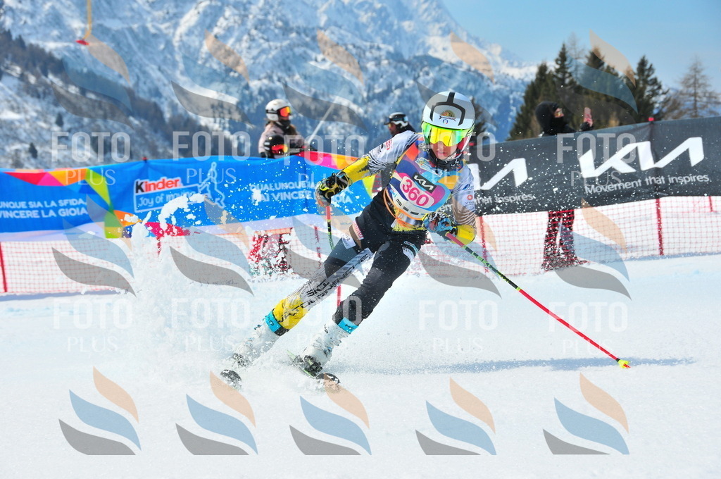 DSC_7041 | holidayphoto