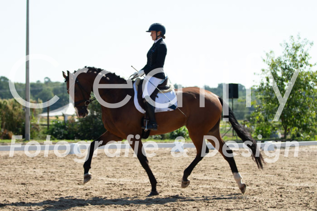 IMG_3381 | Creatify Fotografie