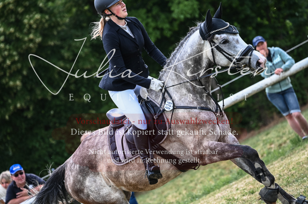 DSC_8367 | Pferde- und Turnierfotografie in Westsachsen. Pferdeportraits, Auftragszeichnungen und intuitive Kunst.