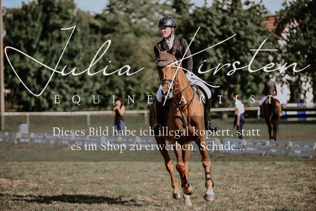 DSC_9316 | Pferde- und Turnierfotografie in Westsachsen. Pferdeportraits, Auftragszeichnungen und intuitive Kunst.