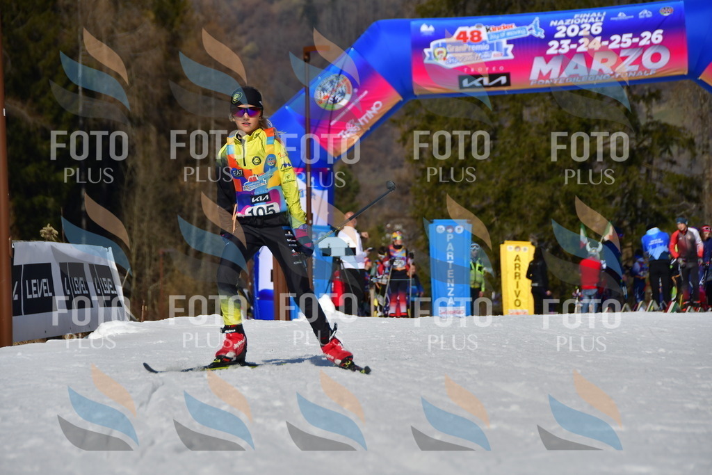 _DSC9651 | holidayphoto