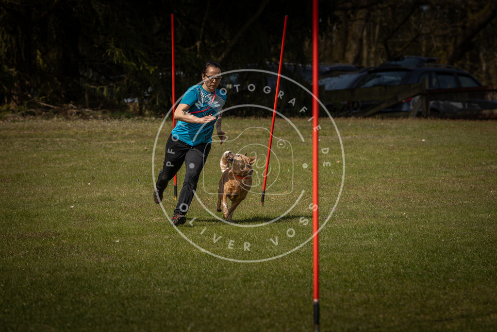 Pfotenfotografie_DV3A4816 | Hundefotografie, Tierfotograf, Pfotenfotografie, Fotoshooting Hund, Hunde Portrait, Hundesport, Hundeportraits, Heideshooting, Hunde, Sportfotograf, Hundefotograf, Turnierhundsport, THS,  - Realisiert mit Pictrs.com